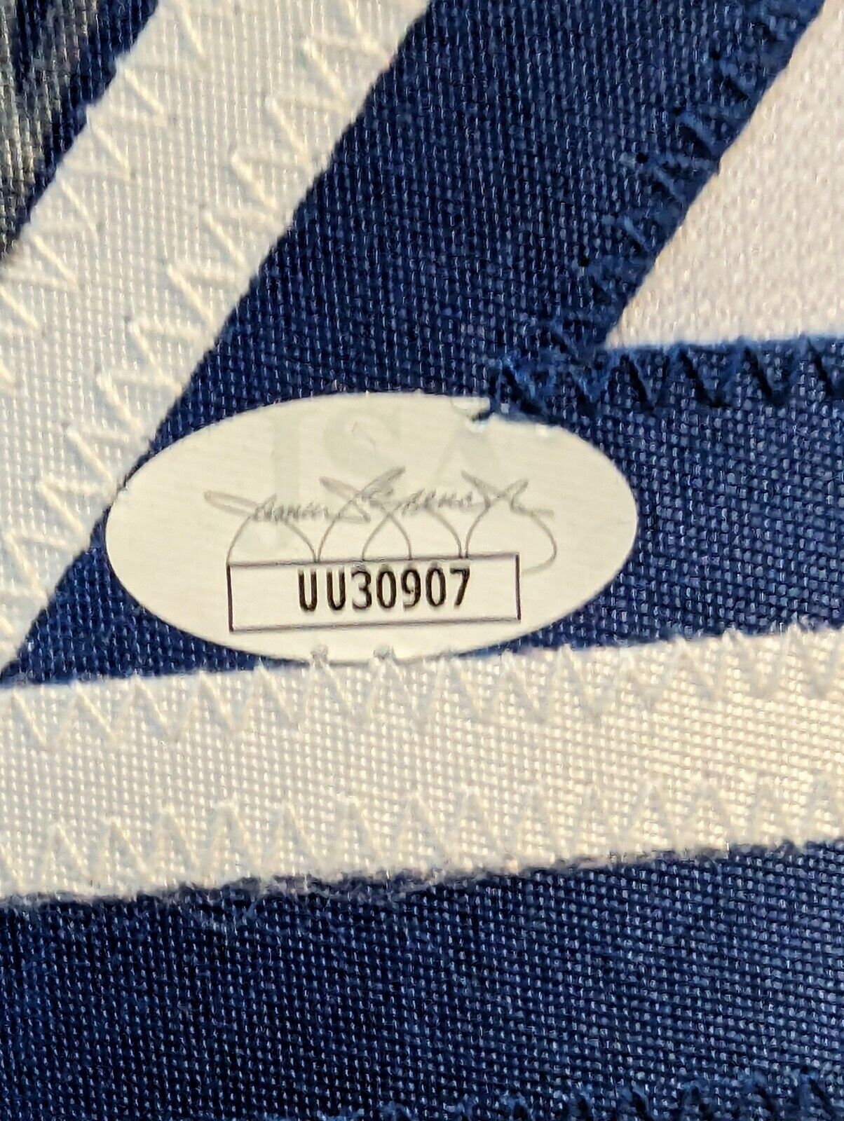 Framed Toronto Blue Jays Vlad Guerrero Jr Autographed Signed Jersey Jsa Coa