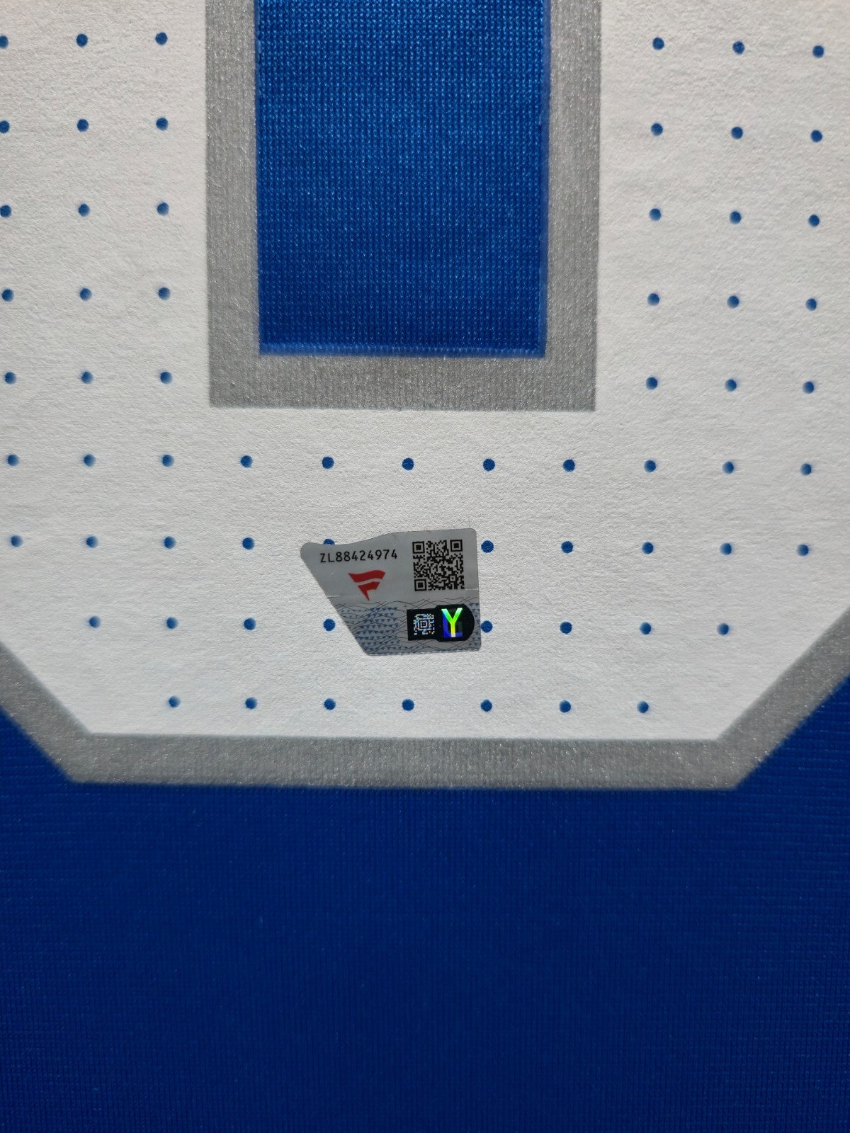 Suede Framed Detroit Lions Jahmyr Gibbs Autographed Signed Jersey Fanatics Holo