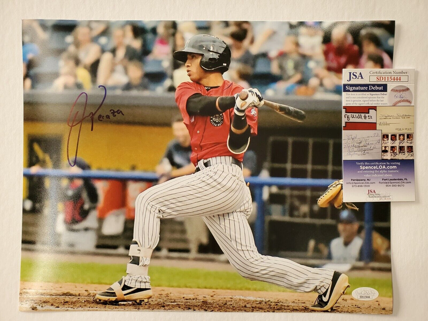 MVP Authentics New York Yankees Oswald Peraza Autographed Signed 11X14 Photo Jsa Coa 71.10 sports jersey framing , jersey framing