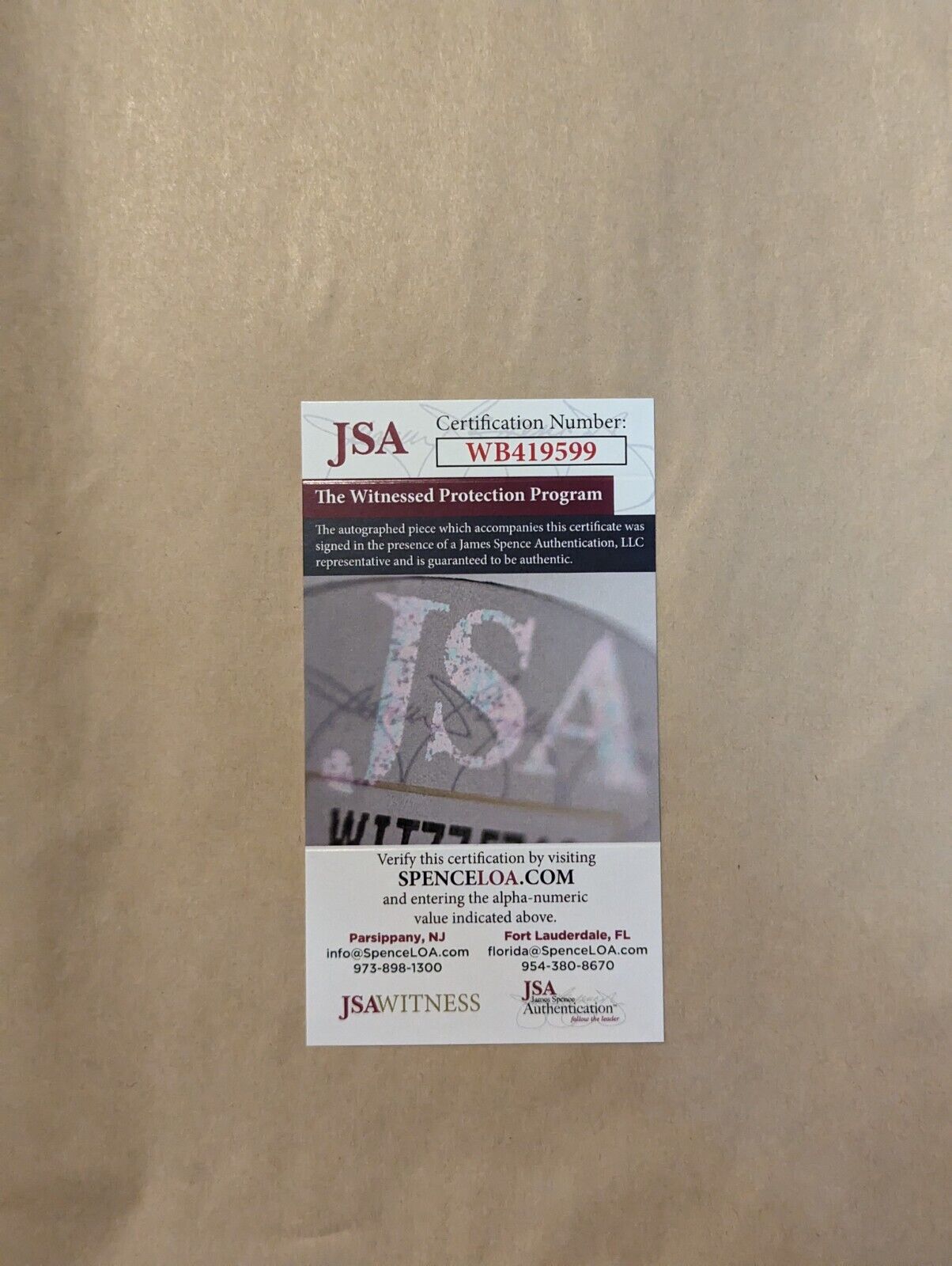 Framed Pittsburgh Steelers Troy Polamalu Autographed Signed Jersey Jsa Coa