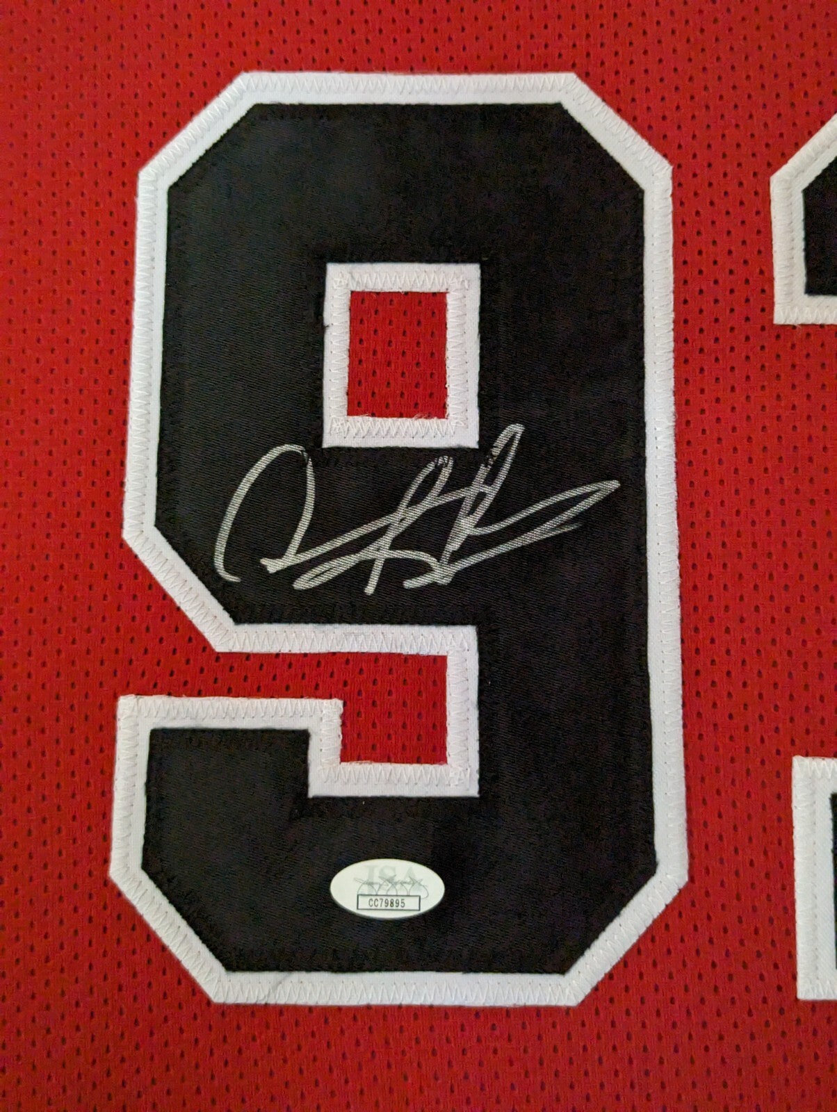 Framed Chicago Bulls Dennis Rodman Autographed Signed Jersey Jsa Coa
