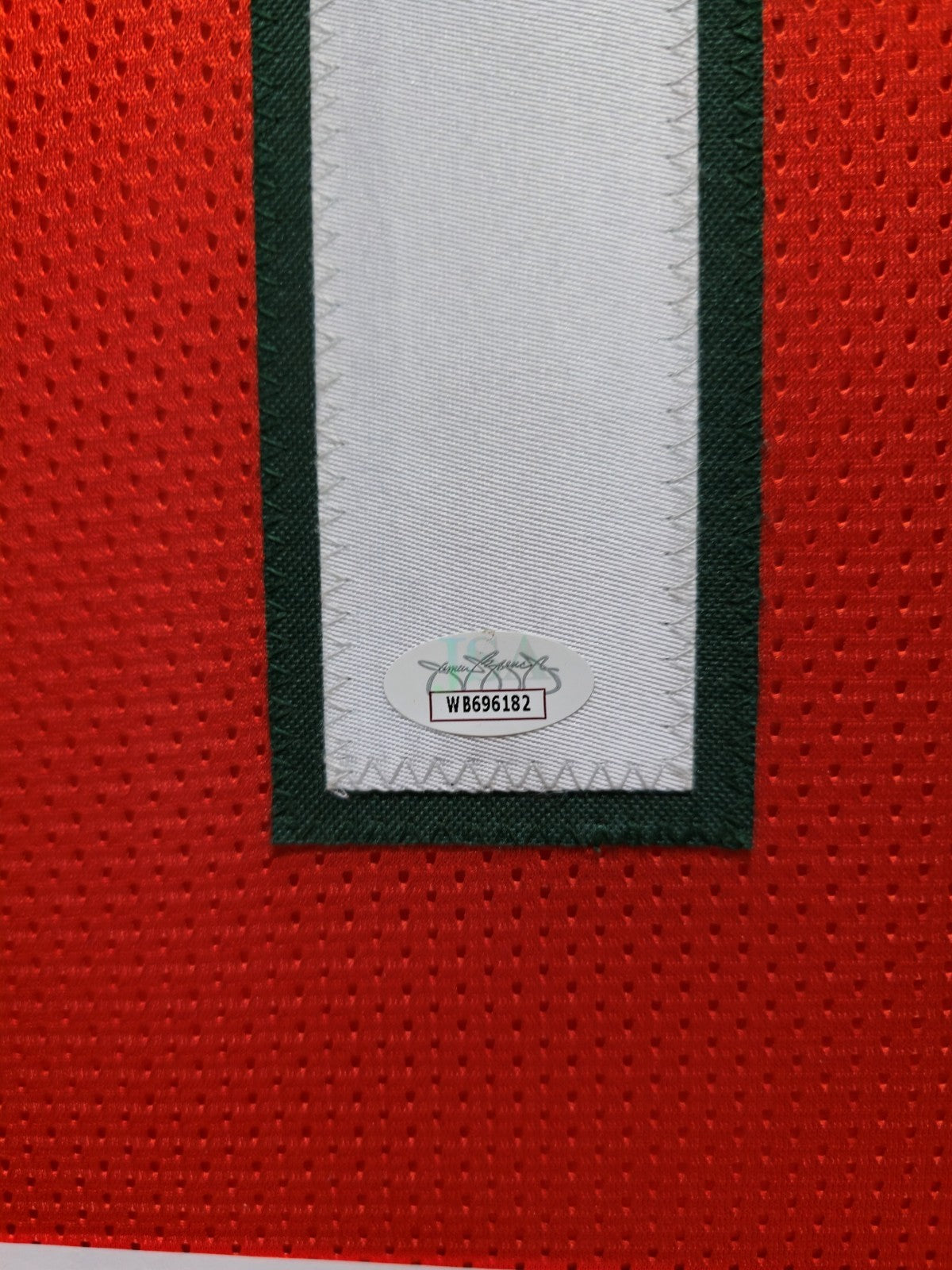 Framed Miami Hurricanes Cam Ward Autographed Signed Jersey Jsa Coa