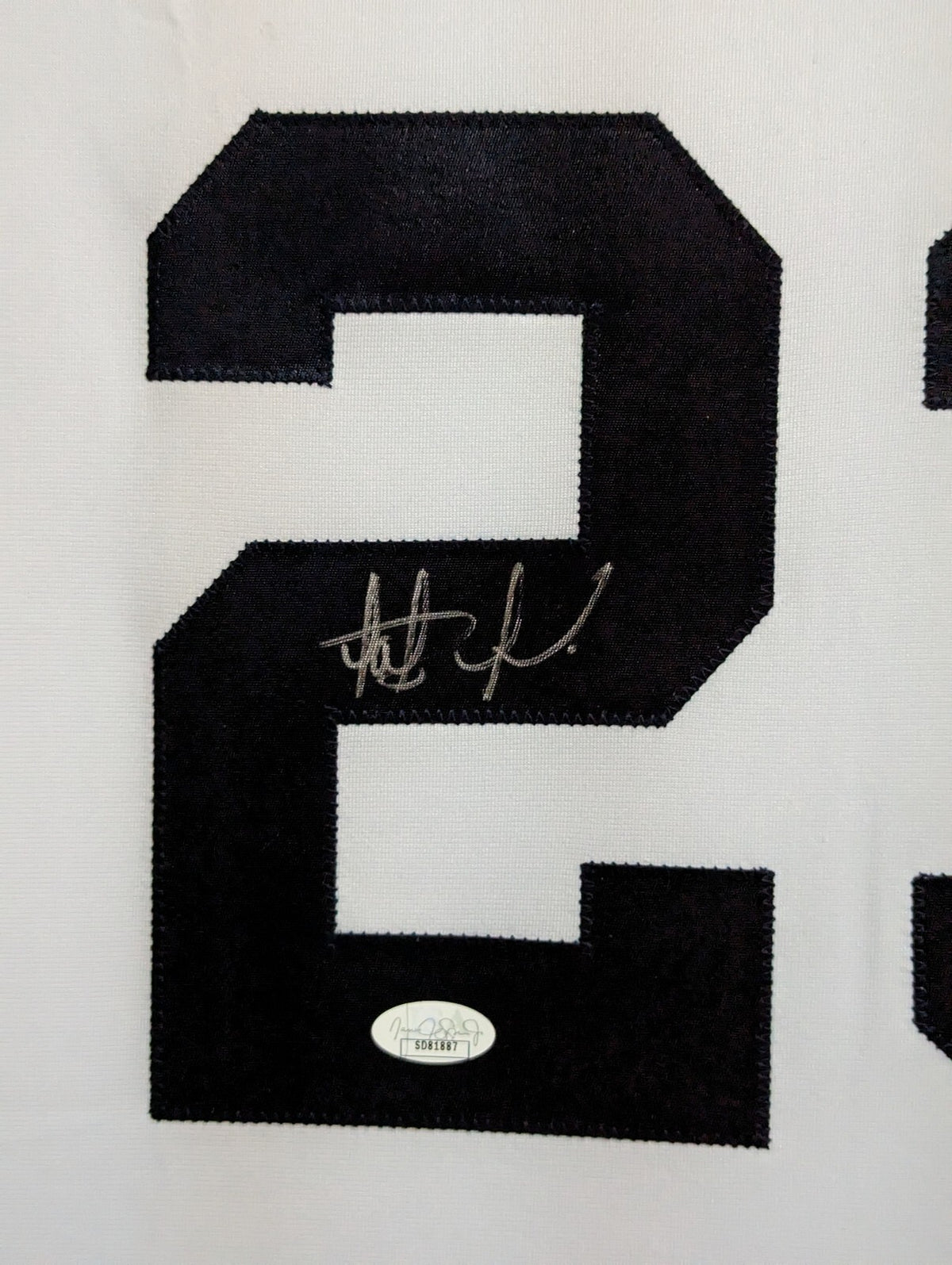 Framed Fernando Tatis Jr Autographed Signed San Diego Padres Jersey Jsa Coa