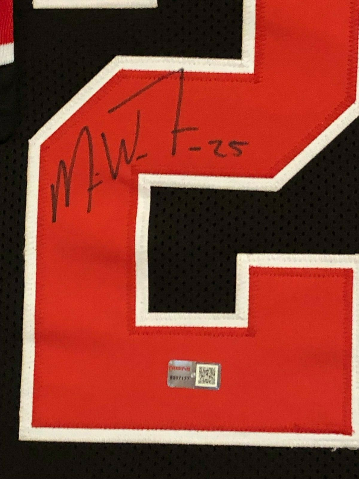 Framed Ohio State Buckeyes Mike Weber Autographed Signed Jersey Tristar Holo