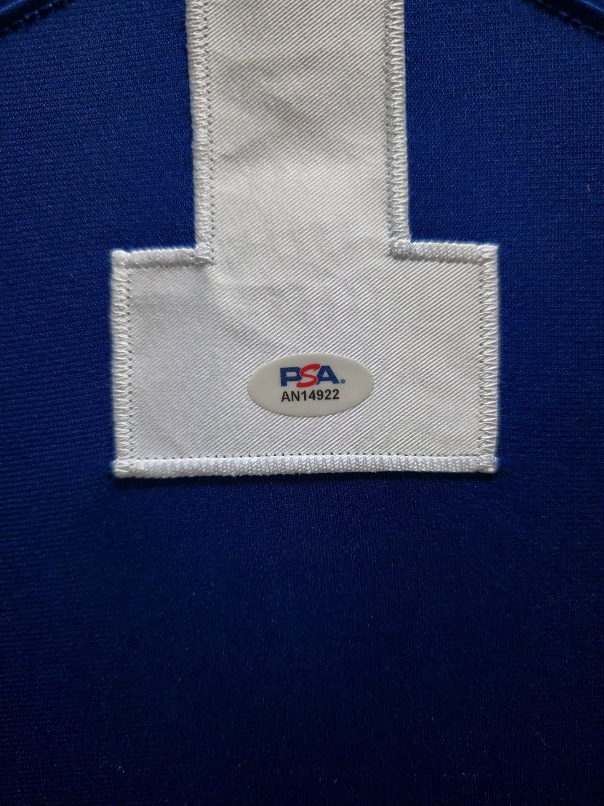 Framed Indianapolis Colts Pat Mcafee Signed Jersey Psa Coa