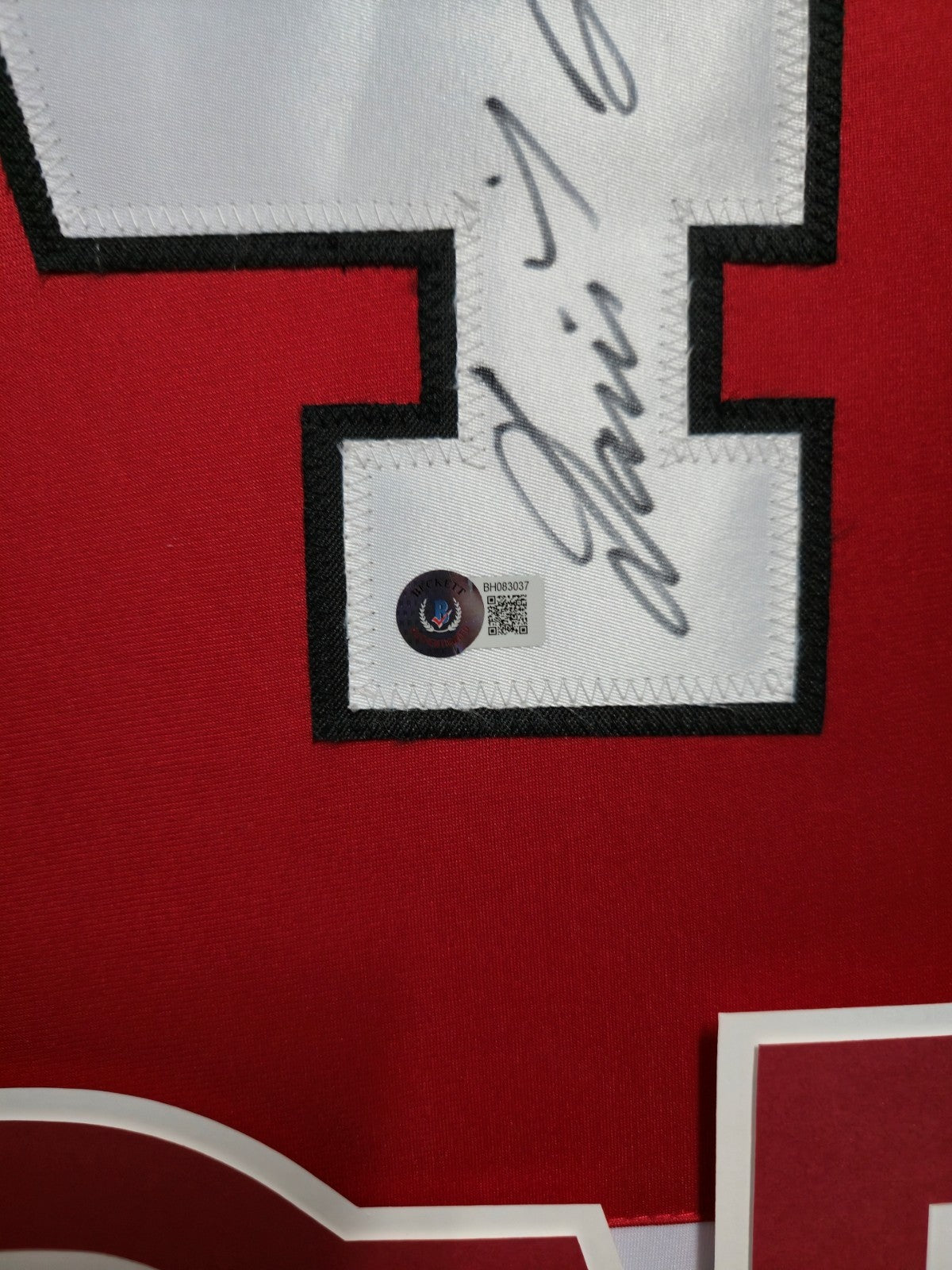 Framed Chicago Blackhawks Dominik Hasek Autographed Jersey Beckett Holo