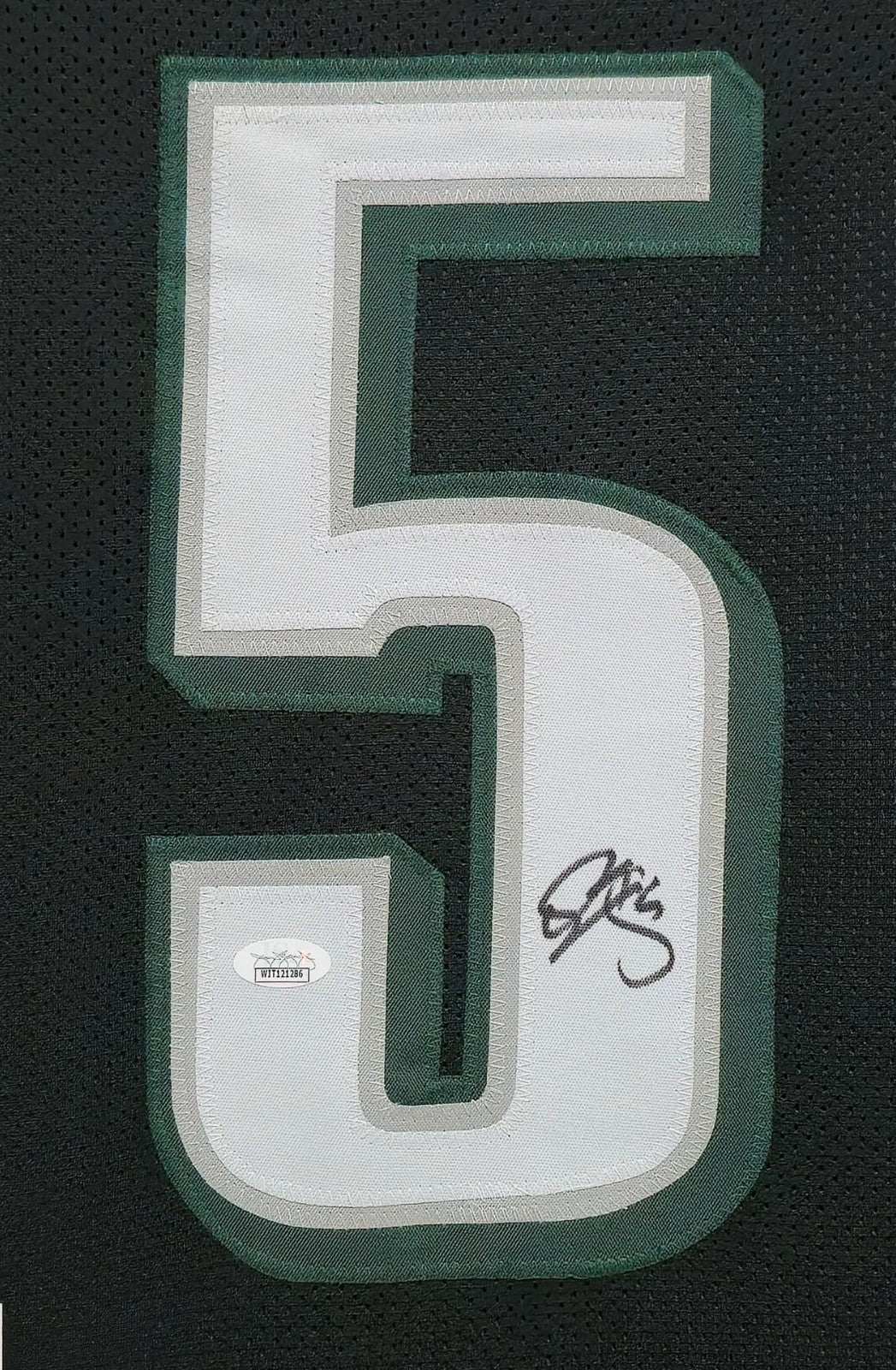 Framed Philadelphia Eagles Donovan Mcnabb Autographed Signed Jersey Jsa Coa