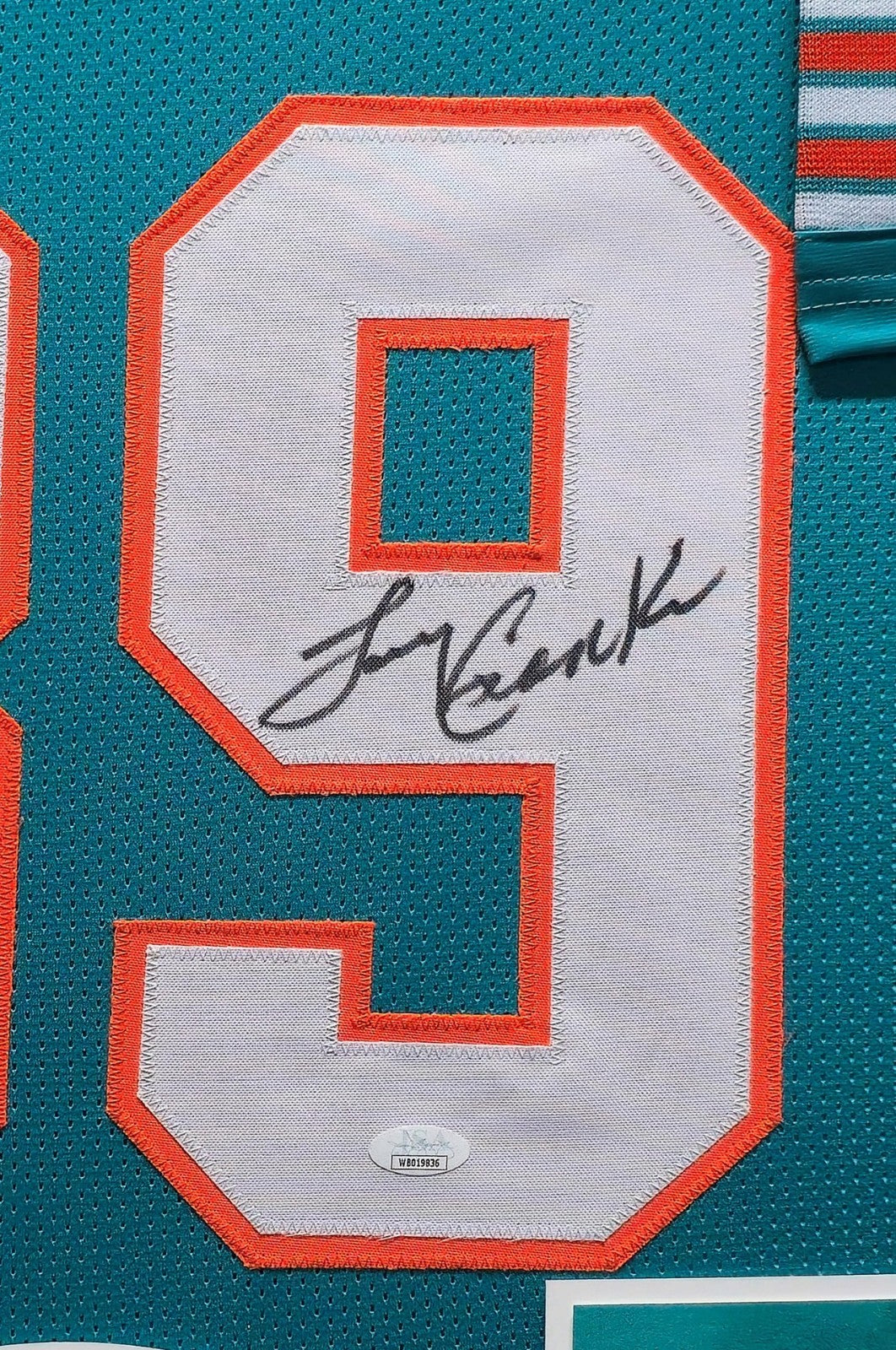 Suede Framed Miami Dolphins Larry Csonka Autographed Signed Jersey Jsa Coa
