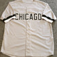 Chicago White Sox Tim Anderson Autographed Signed Jersey Jsa Coa