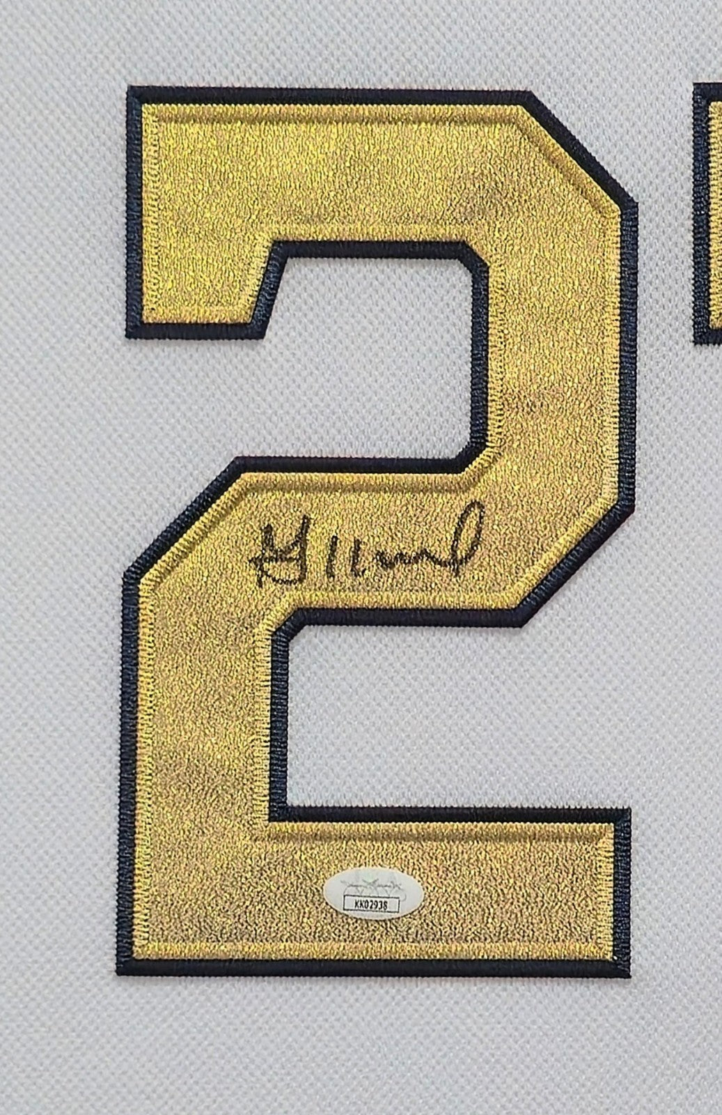 Suede Framed Houston Astros Jose Altuve Autographed Signed Jersey Jsa Coa