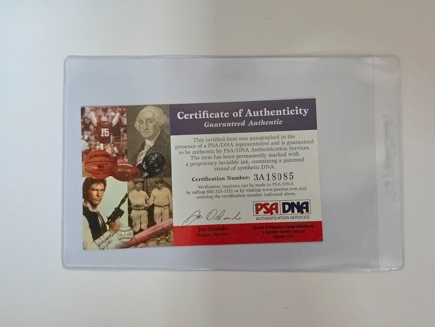 Framed In Suede San Diego Padres Tony Gwynn Autographed Signed Jersey Psa Coa