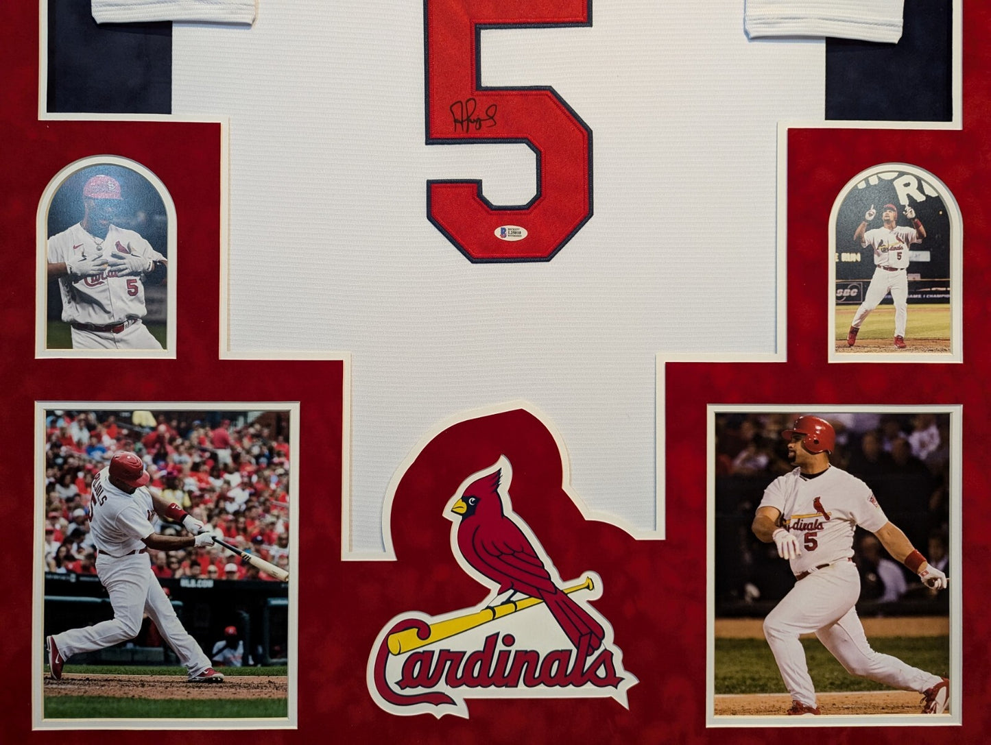 Framed In Suede St Louis Cardinals Albert Pujols Autographed Jersey Beckett Holo