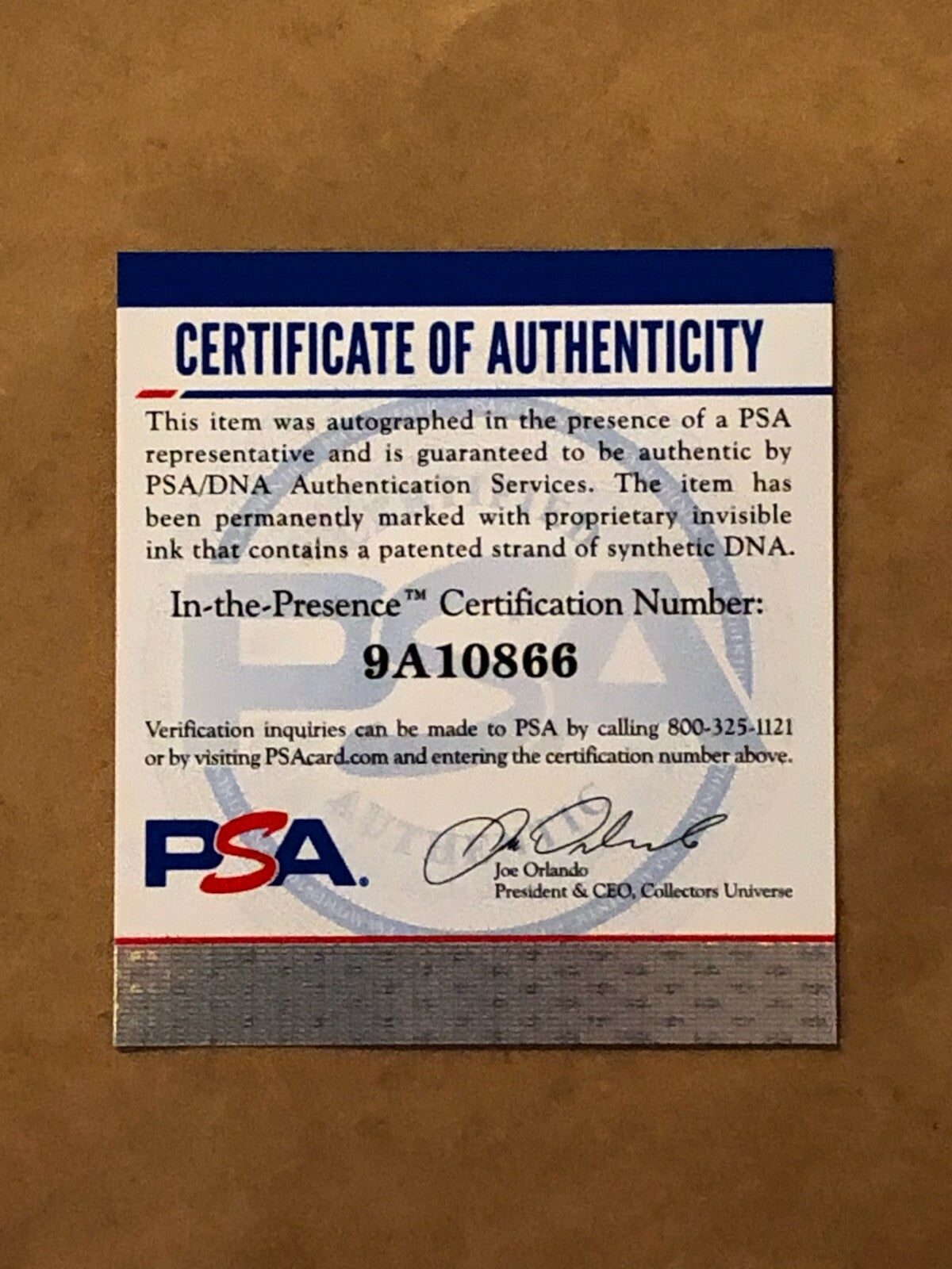 Framed Miami Heat Jason Williams Autographed Signed Miami Vice Jersey Psa Coa