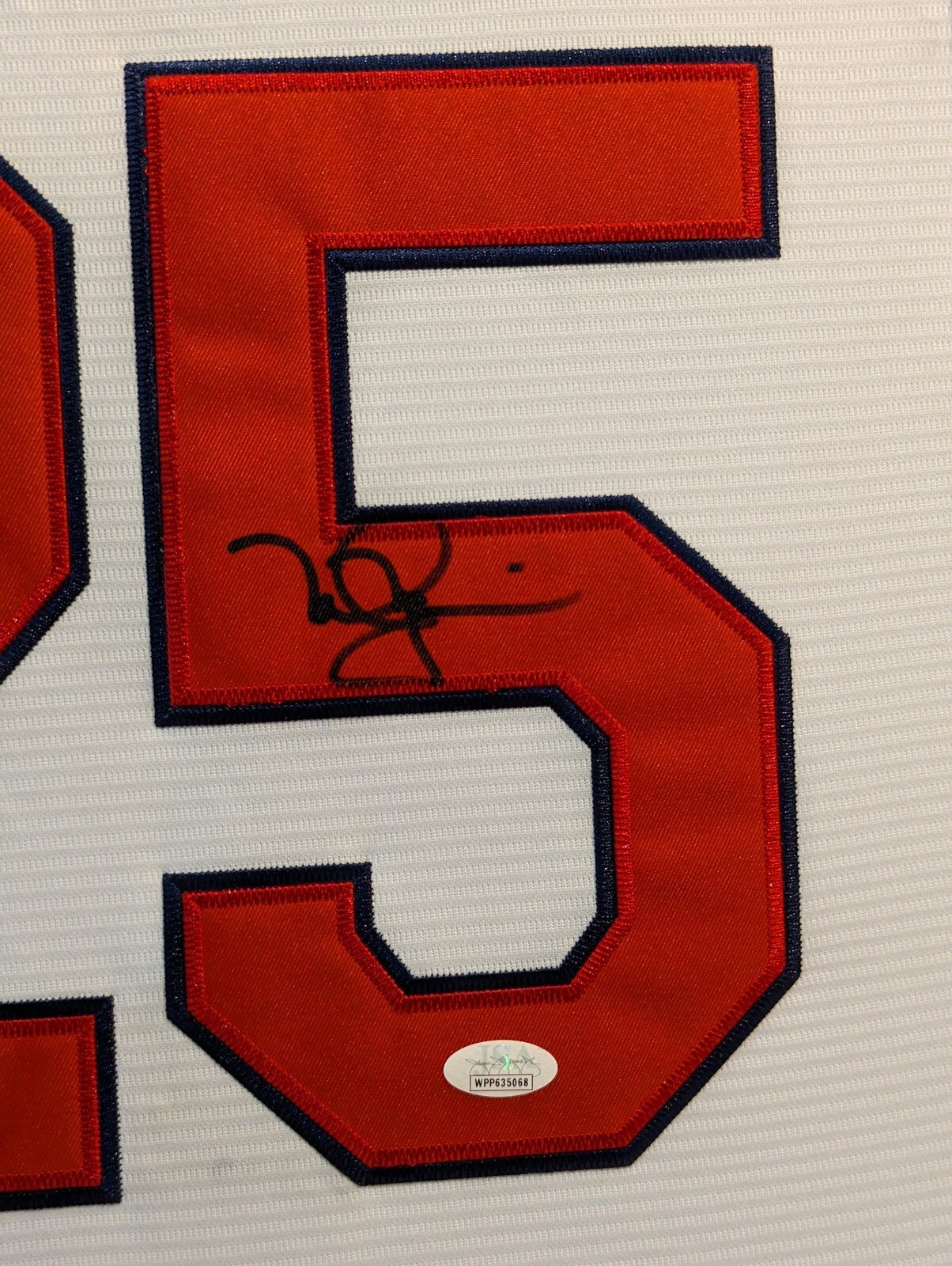 Framed In Suede St Louis Cardinals Mark Mcgwire "Big Mac" Autographed Jersey Jsa