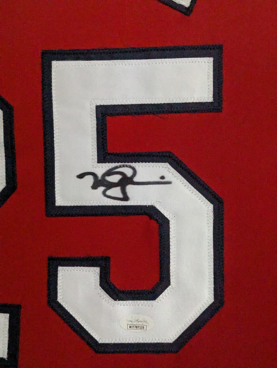 Framed In Suede St Louis Cardinals Mark Mcgwire Autographed Jersey Jsa Coa