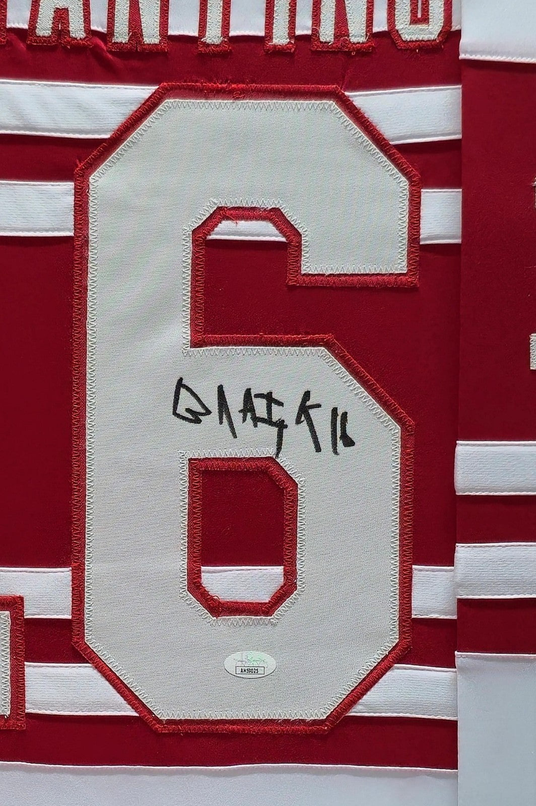 Framed Detroit Red Wings Vladimir Konstantinov Autographed Signed Jersey Jsa Coa