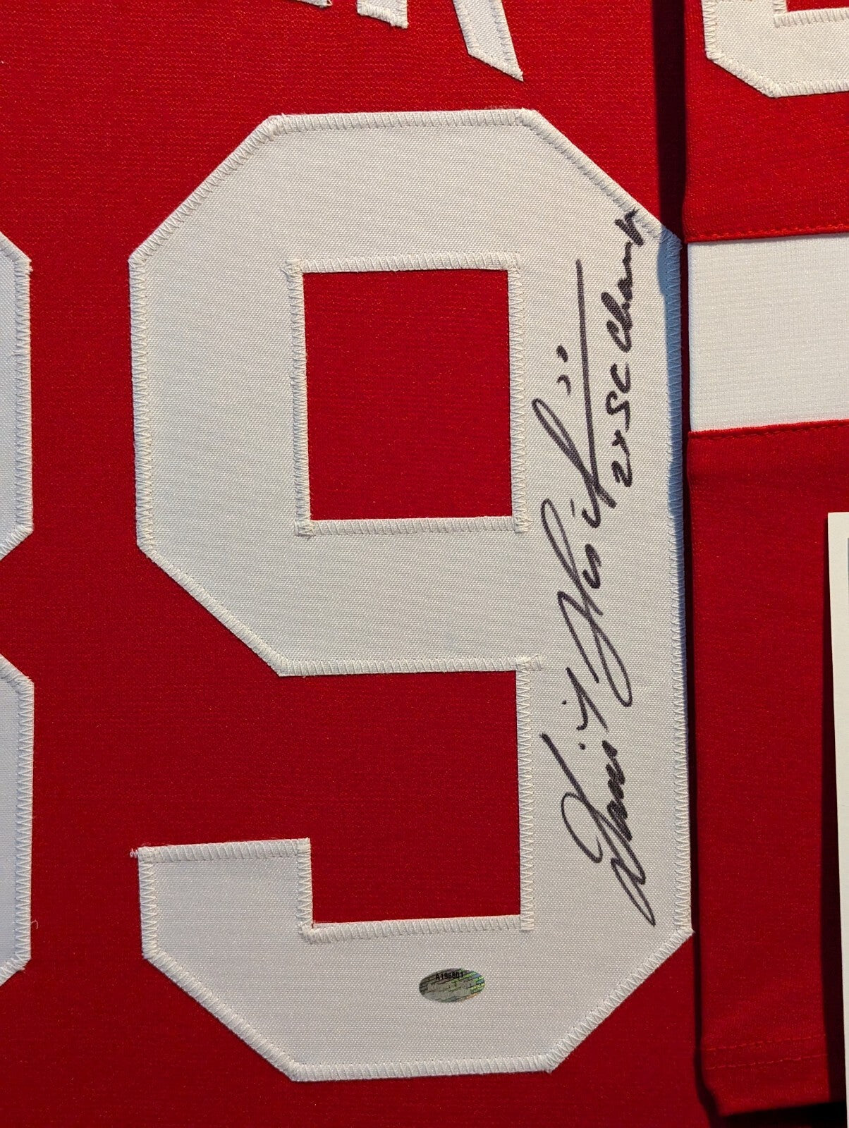 Framed Detroit Red Wings Dominik Hasek Signed And Inscribed Jersey Schwartz Holo