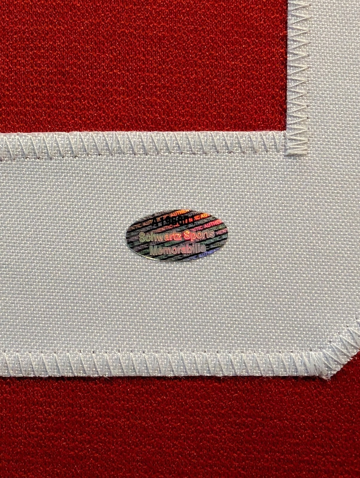 Framed Detroit Red Wings Dominik Hasek Signed And Inscribed Jersey Schwartz Holo
