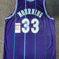 Charlotte Hornets Alonzo Mourning Autographed Signed Jersey Jsa Coa