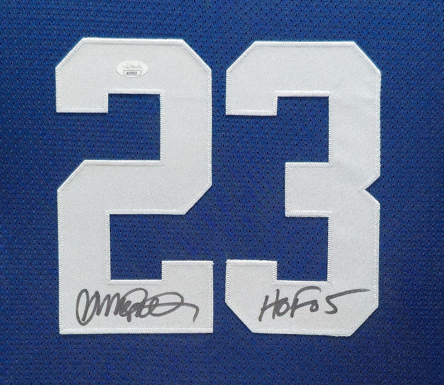 Suede Framed Chicago Cubs Ryne Sandberg Autographed Inscribed Jersey Jsa Coa