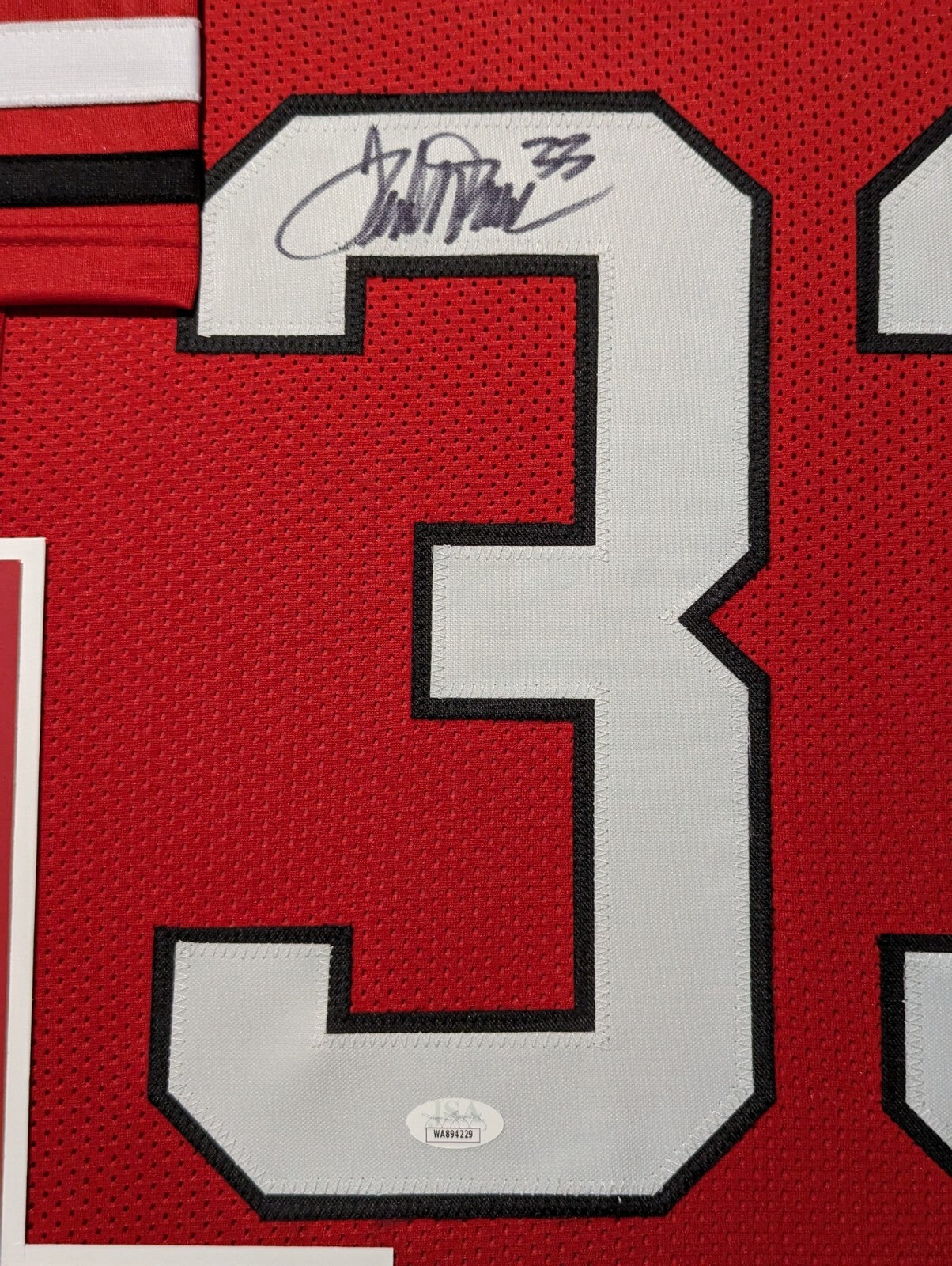 Framed Georgia Bulldogs Terrell Davis Autographed Jersey Jsa