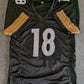 Pittsburgh Steelers Will Howard Autographed Signed Jersey Jsa  Coa