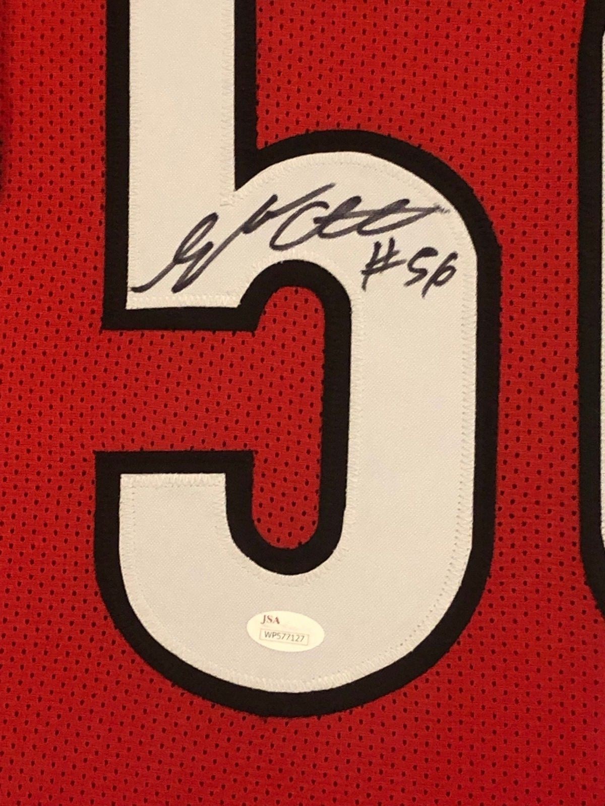 Framed Georgia Bulldogs Geno Atkins Autographed Signed Jersey Jsa Coa