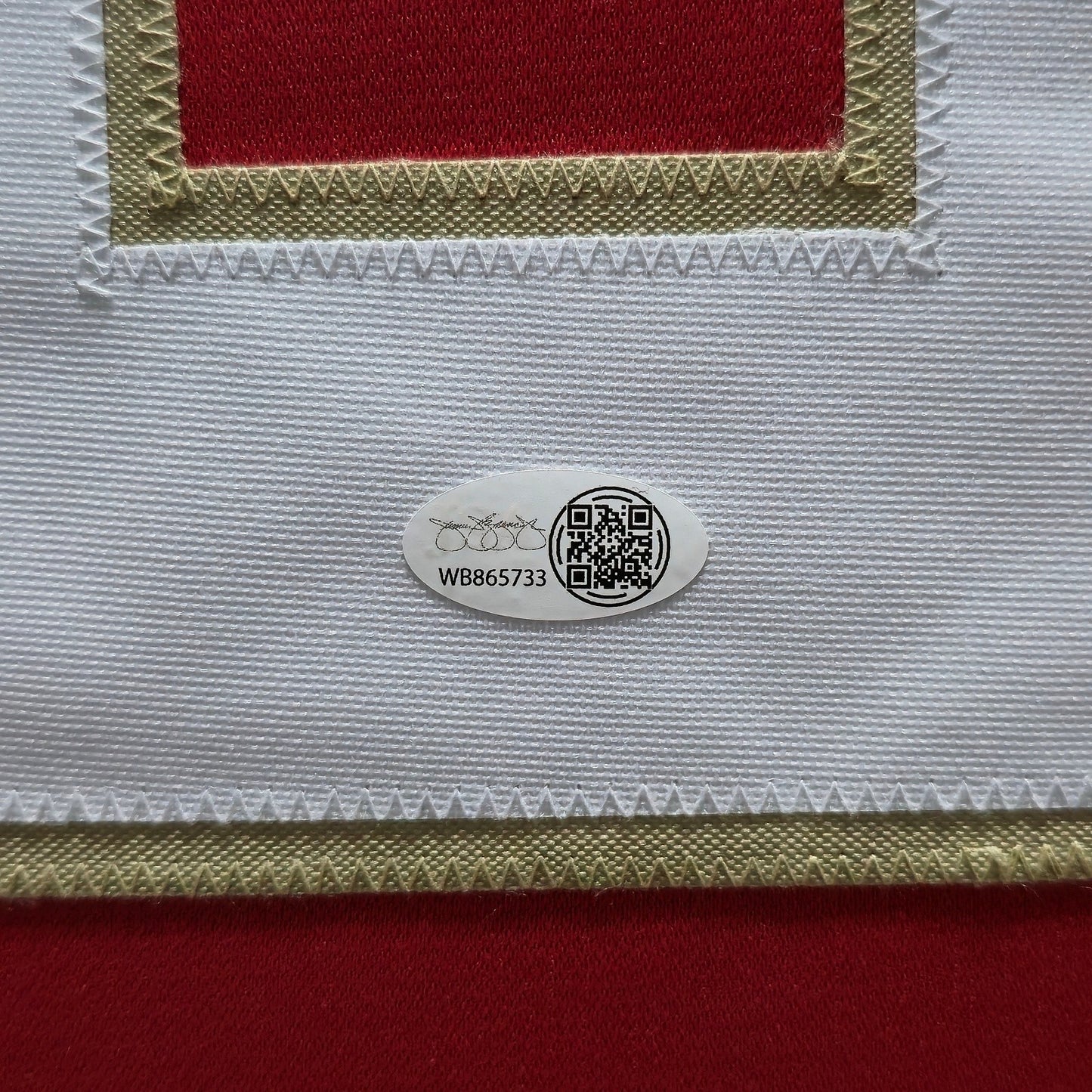 Framed Florida Panthers Matthew Tkachuk Autographed Signed Jersey Jsa Holo