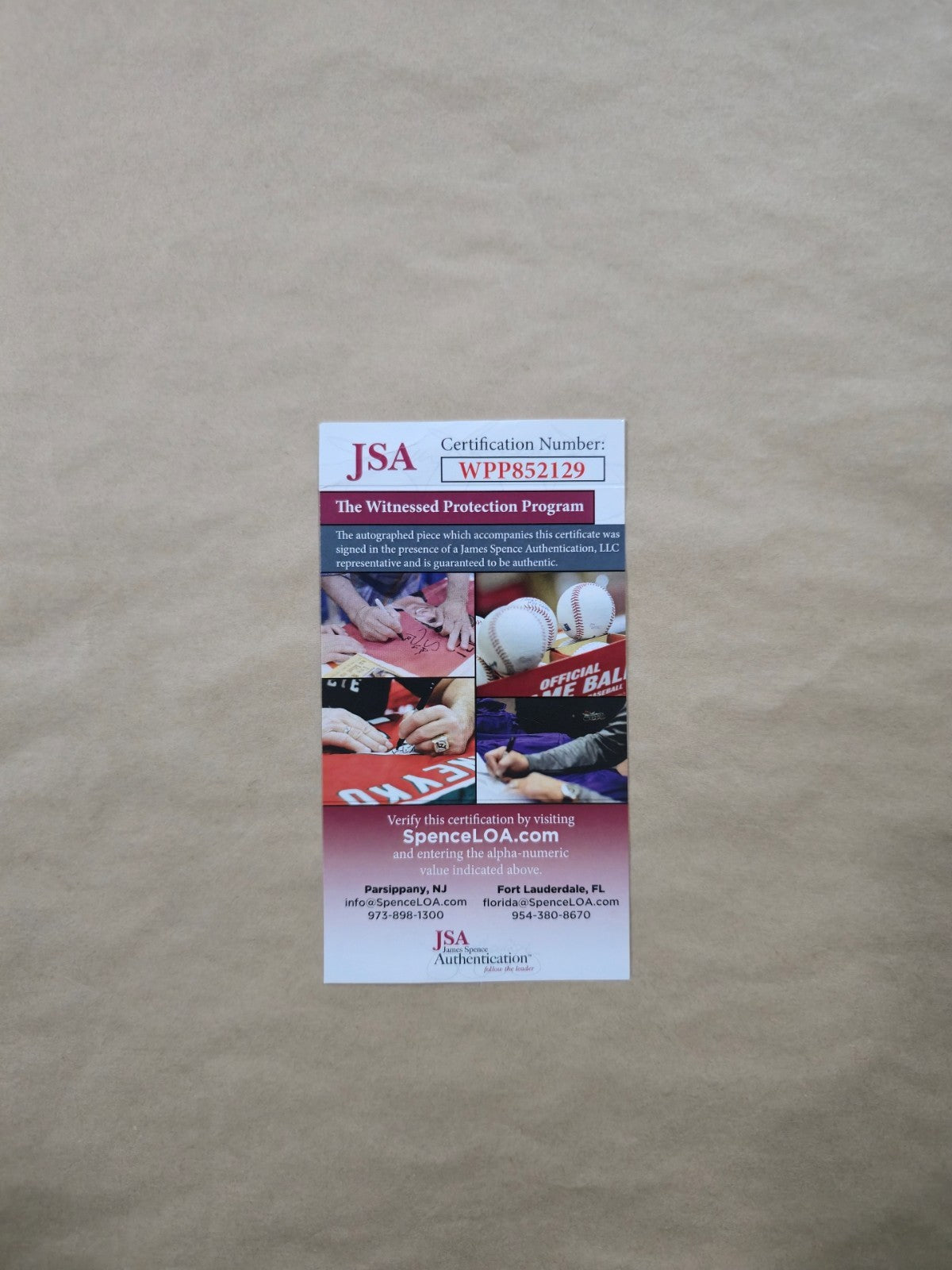 Framed Detroit Red Wings Darren Mccarty Autographed Signed Jersey Jsa Coa