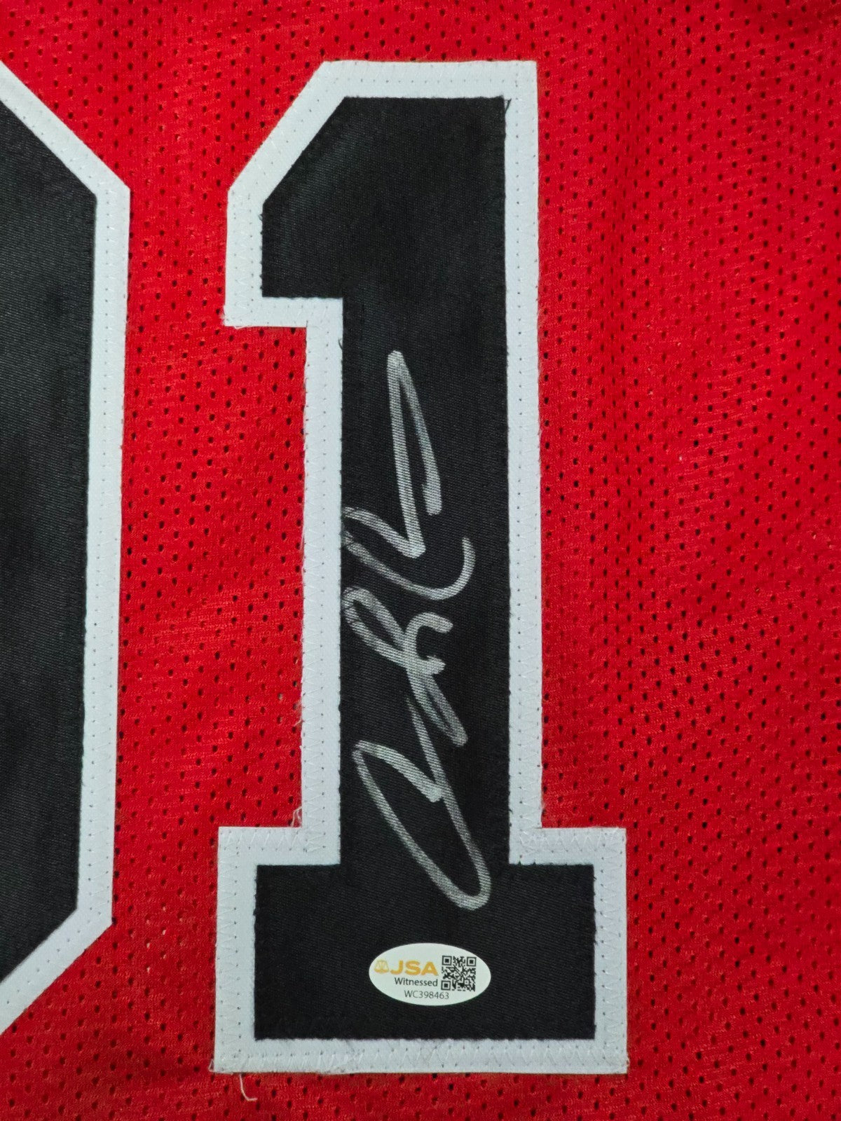 Chicago Bulls Dennis Rodman Autographed Signed Jersey Jsa Holo