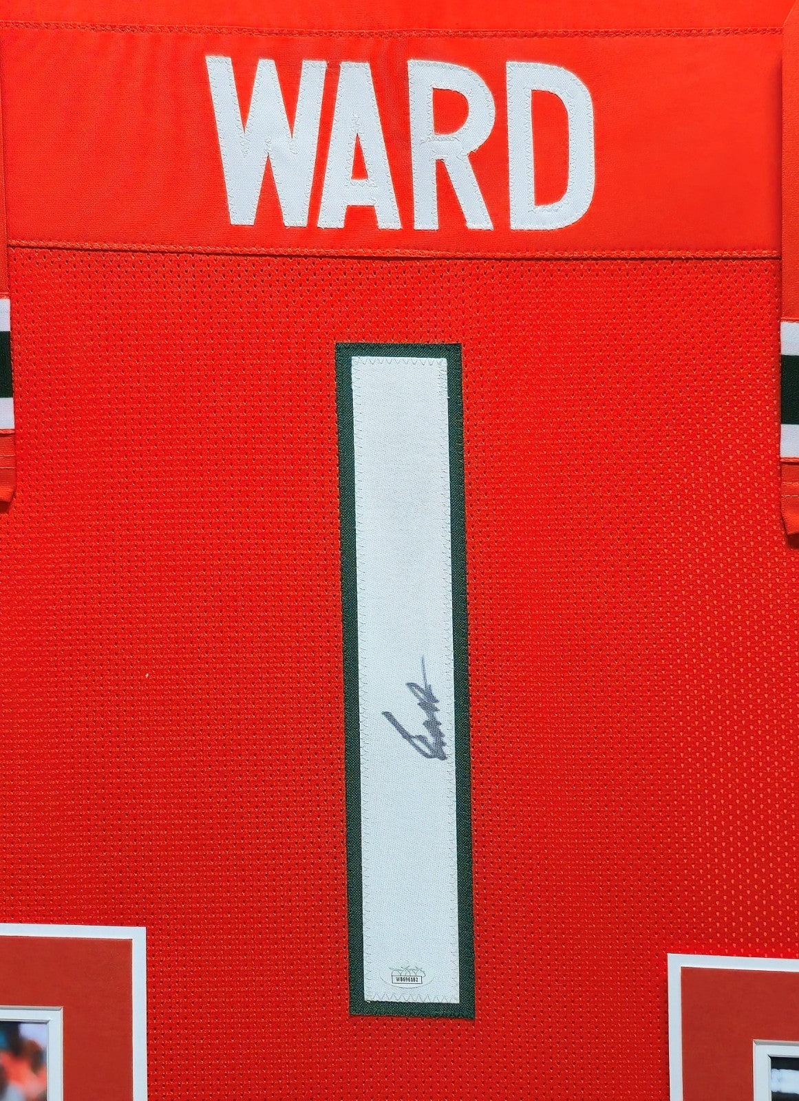 Framed Miami Hurricanes Cam Ward Autographed Signed Jersey Jsa Coa