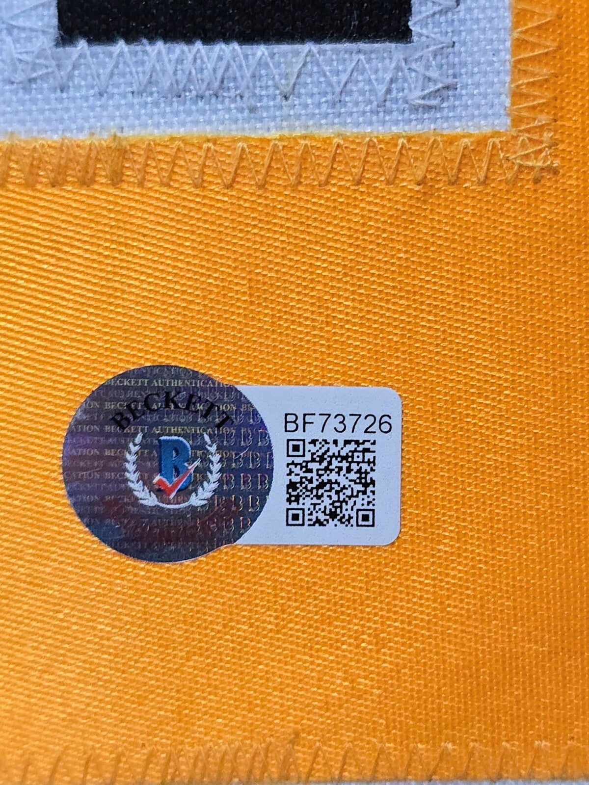 Framed Pittsburgh Penguins Jaromir Jagr Autographed Signed Jersey Beckett Holo