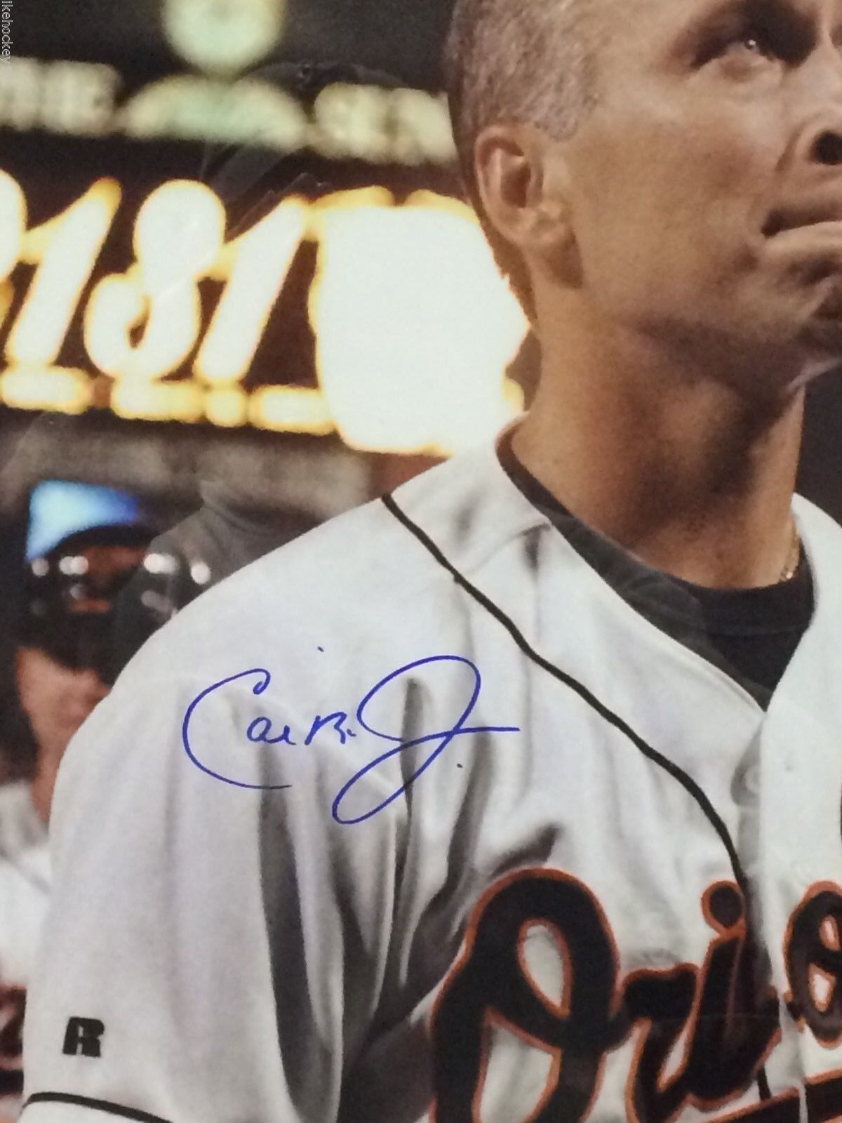 MVP Authentics Framed Signed Cal Ripken Jr. Baltimore Orioles 16X20 Photo Jsa Coa 225 sports jersey framing , jersey framing