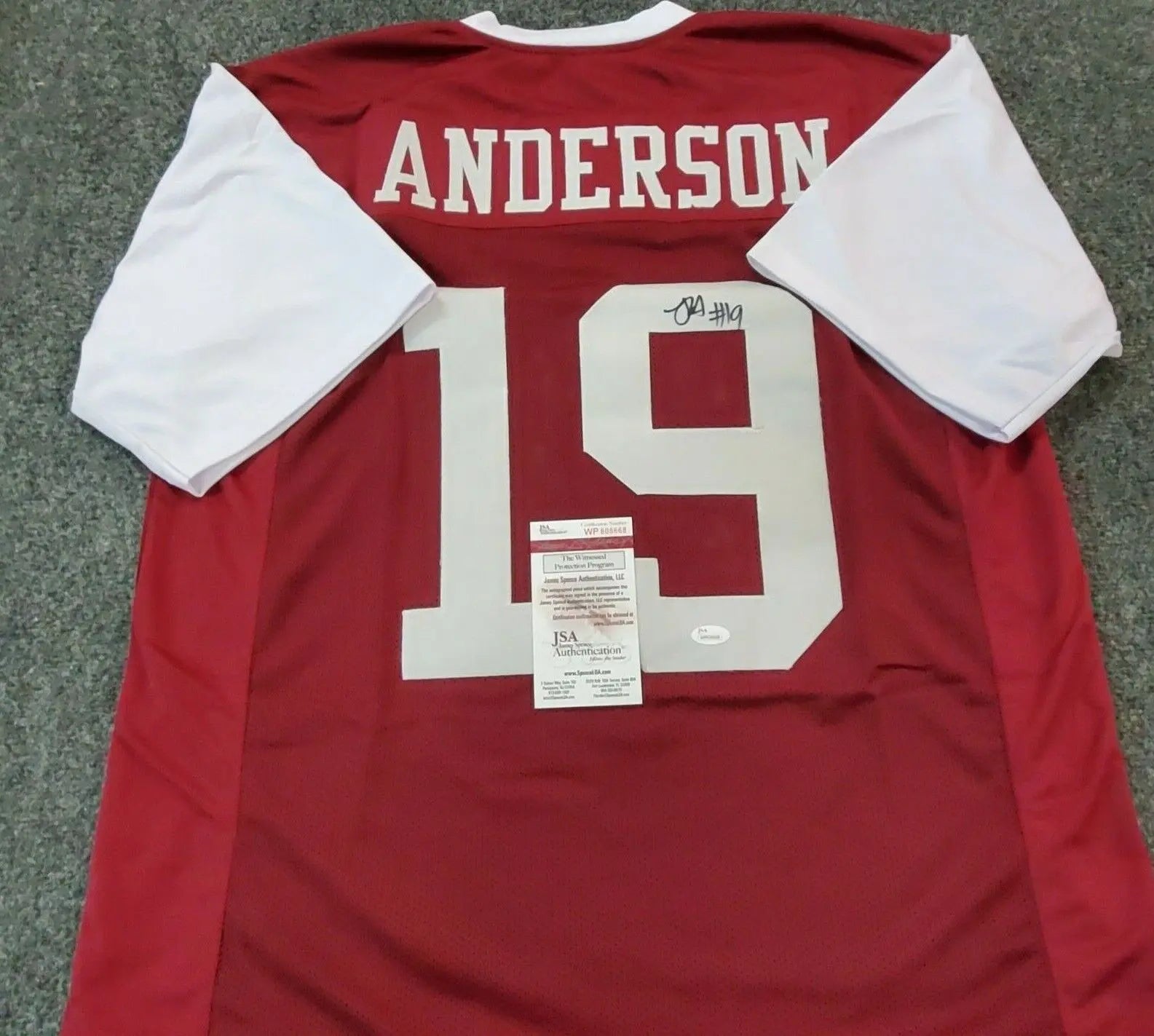 MVP Authentics Robby Anderson Autographed Signed Temple Owls Jersey Jsa Coa 116.10 sports jersey framing , jersey framing
