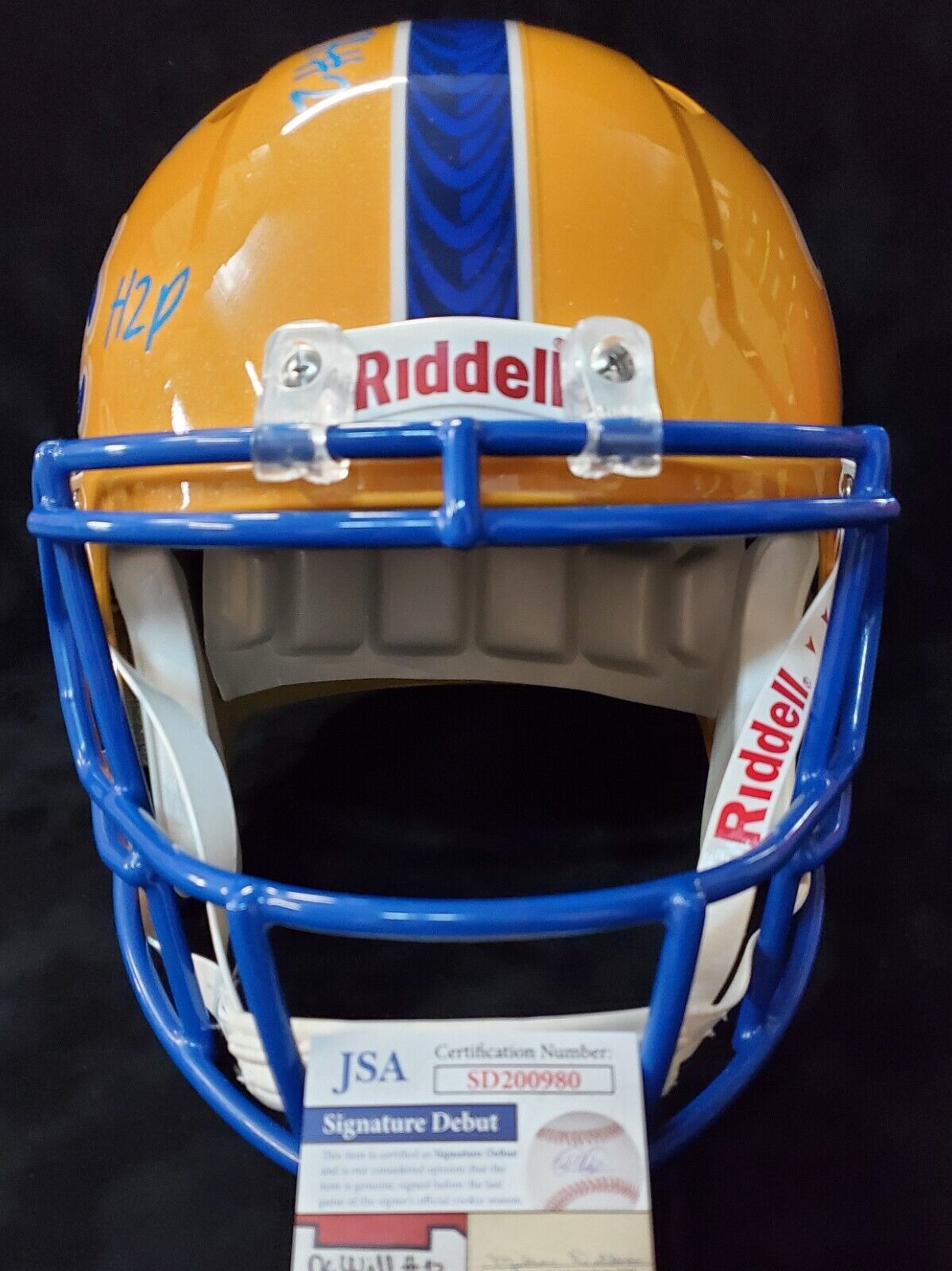 Riddell Panthers Full Size Helmet